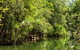 Berry Springs Nature Park - thumb 0