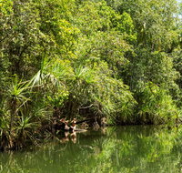 Berry Springs Nature Park - Accommodation Georgetown