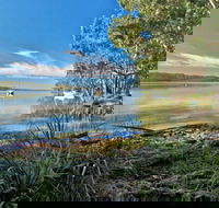 Black Oaks Picnic Area - Accommodation Georgetown