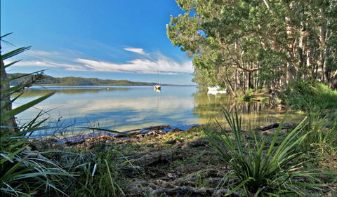 Black Oaks Picnic Area - Accommodation Georgetown 0