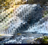 Bridal Veil Champagne and No Name Falls - Accommodation Georgetown