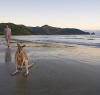 Cape Hillsborough National Park - Accommodation Georgetown