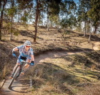 Cycle Mogo State Forest - Accommodation Georgetown