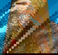 Deniliquin Water Tower Mural - Accommodation Georgetown