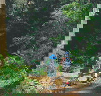 Gloucester National Park - Accommodation Georgetown