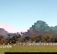 Grampians - Accommodation Georgetown
