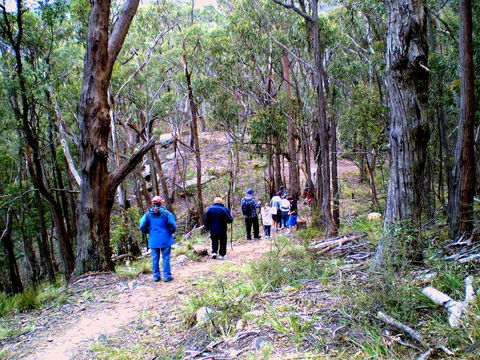 Greater Blue Mountains Heritage Trail - Accommodation Georgetown 2
