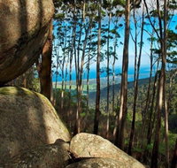 Gulaga Mountain Walk - Accommodation Georgetown