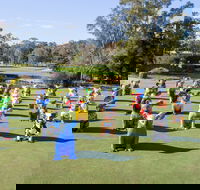 Hello Koalas Sculpture Trail - Accommodation Georgetown