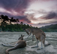How to Holiday on The Hibiscus Coast with your Family - Accommodation Georgetown