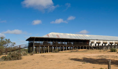 Kinchega Woolshed - Accommodation Georgetown 0