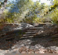 Mooney Mooney nature walk - Accommodation Georgetown