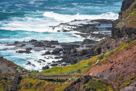 Mornington Peninsula National Park - Accommodation Georgetown 0