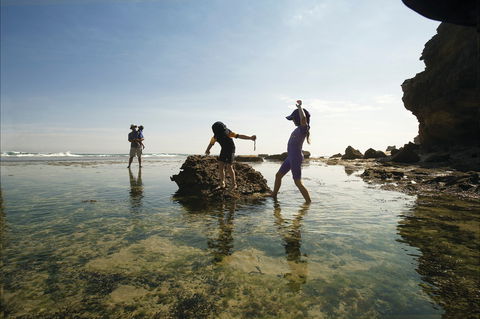 Mornington Peninsula National Park - Accommodation Georgetown 2