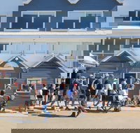 Newcastle Shoreline Walk - Accommodation Georgetown