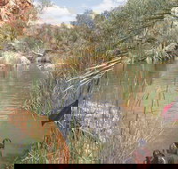 Palm Springs - Accommodation Georgetown