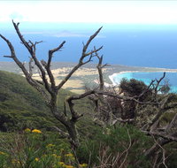 Strzelecki Peaks Great Short Walk - Accommodation Georgetown
