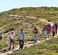 The Sole Walk at Hillocks Drive - Accommodation Georgetown
