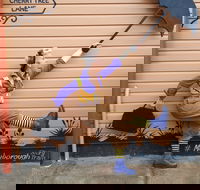 The Story Bank - Accommodation Georgetown