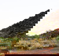 Whyalla Conservation Park - Accommodation Georgetown