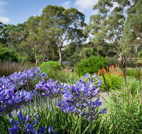 Wittunga Botanic Garden - Accommodation Georgetown