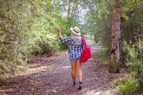 Yea Wetlands Walk - Accommodation Georgetown 2