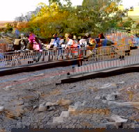 Australian Age of Dinosaurs - Accommodation Georgetown