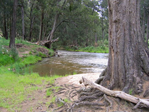 Bangadilly National Park - Accommodation Georgetown 0