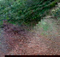 Cascade mountain bike trail - Accommodation Georgetown
