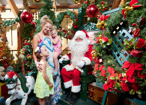 Christmas Tree Farm - Accommodation Georgetown 2