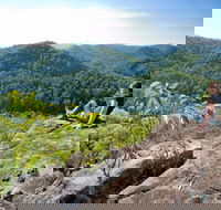 Dubbo Gully Loop Trail - Accommodation Georgetown