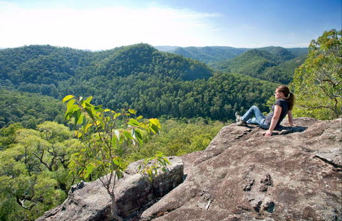 Dubbo Gully Loop Trail - Accommodation Georgetown 0
