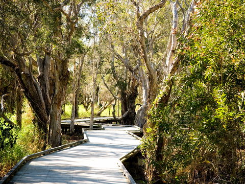 Eagleby Wetlands - Accommodation Georgetown 1