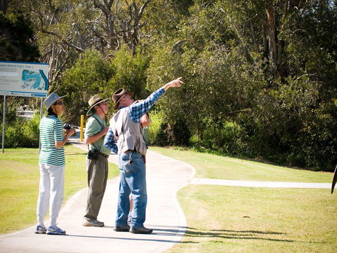 Eagleby Wetlands - Accommodation Georgetown 2