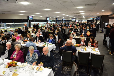 Geelong Greyhound Racing Club - The Beckley Centre - Accommodation Georgetown 1