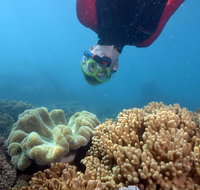 Geoffrey Bay Snorkel Trail - Accommodation Georgetown