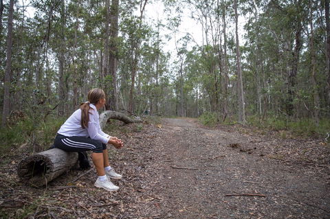 Ironbark Ridge And Spotted Gum Walking Trails - Accommodation Georgetown 1