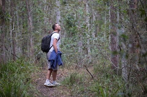 Ironbark Ridge And Spotted Gum Walking Trails - Accommodation Georgetown 2