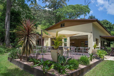 Kramer Photography Rainforest Gallery - Accommodation Georgetown 2