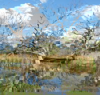 Lagoon Creek - Accommodation Georgetown