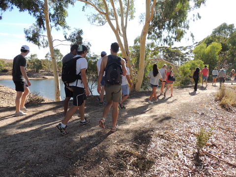 Merredin Railway Dam - Accommodation Georgetown 1