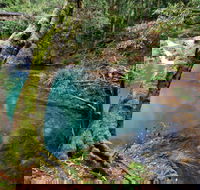Mobong walking track - Accommodation Georgetown