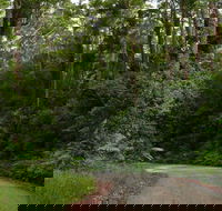 Moonpar Forest drive - Cascade National Park - Accommodation Georgetown
