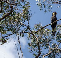 Mummel Gulf National Park - Accommodation Georgetown