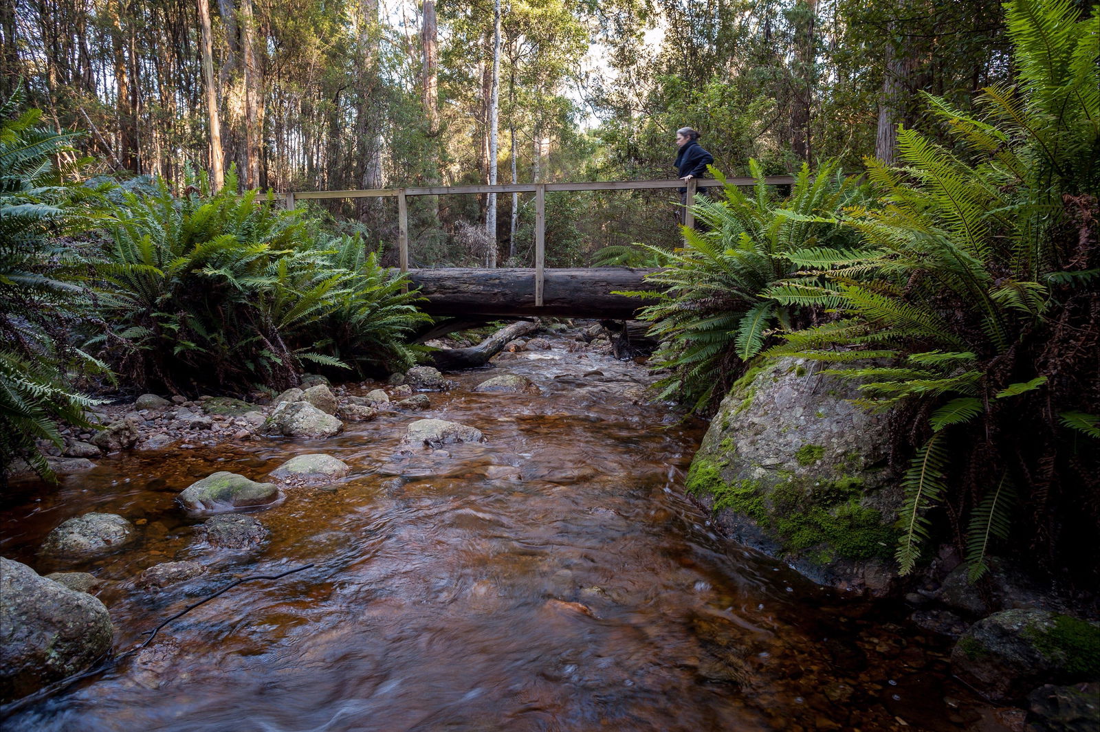 Gowrie Park TAS Accommodation Georgetown