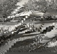Pioneer Park - Accommodation Georgetown
