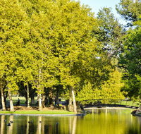 Rymill Park/Murlawirrapurka - Accommodation Georgetown