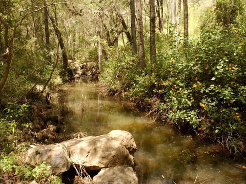 Sandy Creek Track - Accommodation Georgetown 0