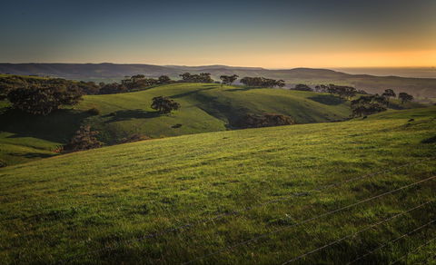 Starfish Hill Windfarm - Accommodation Georgetown 1