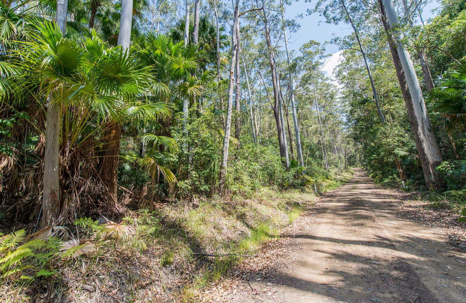 Coomba Bay NSW Accommodation Georgetown